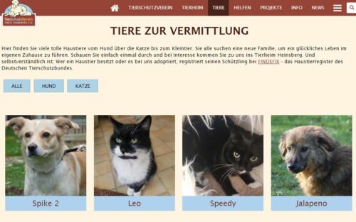 Website des Tierschutzvereins für den Kreis Heinsberg e.V.