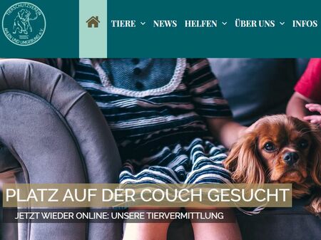 Website Tierschutzverein Ahlen und Umgebung e.V.