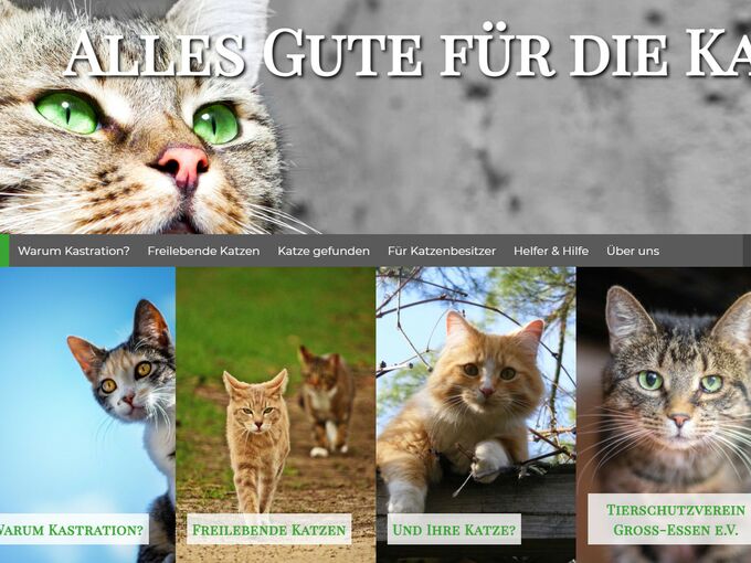 Homepage Katzenkastration Essen