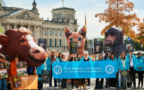 Protestaktion Deutscher Tierschutzbund