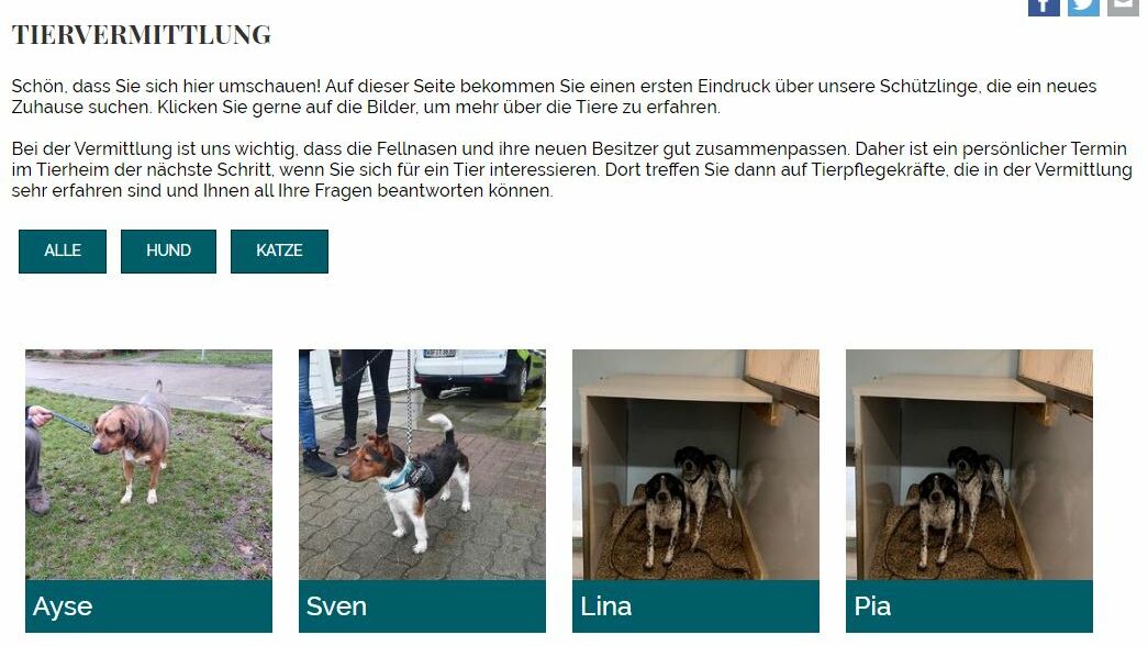 Tiervermittlung des Tierschutzvereins Ahlen und Umgebung e.V.