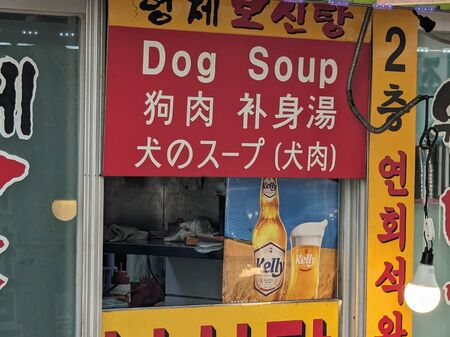 Rot-orangenes Plakat von einem Imbiss, der Hundesuppe anbietet