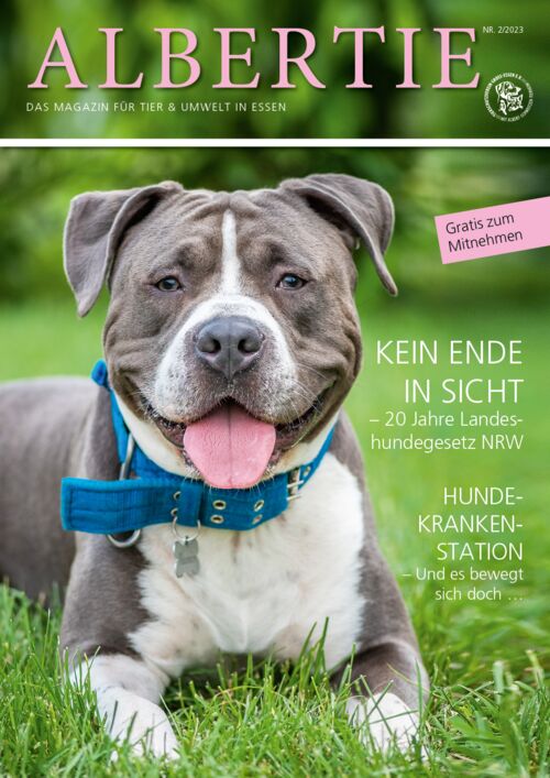 Albertie Magazin Essen