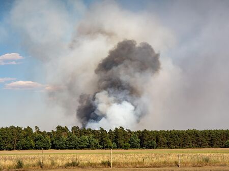 Waldbrand