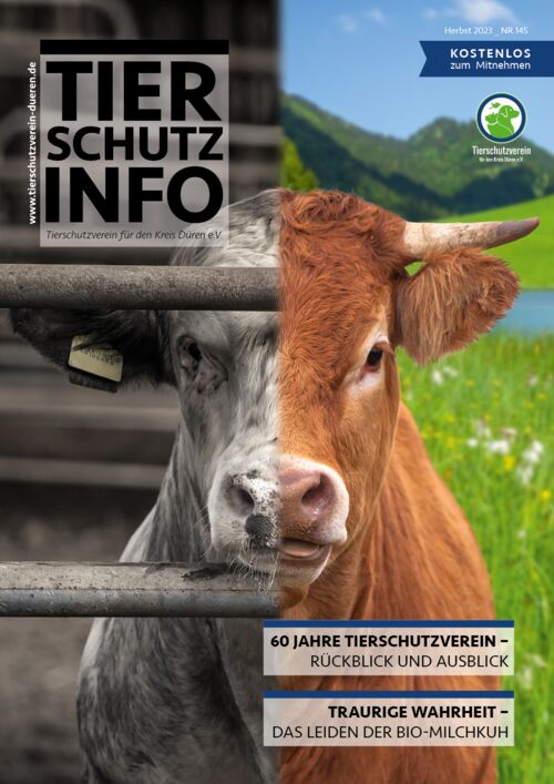 Tierschutz Info Magazin Düren