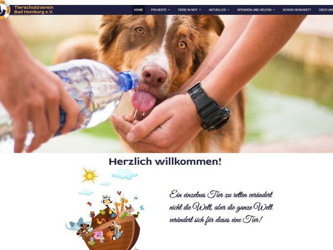 Website des TSV Bad Homburg e.V.