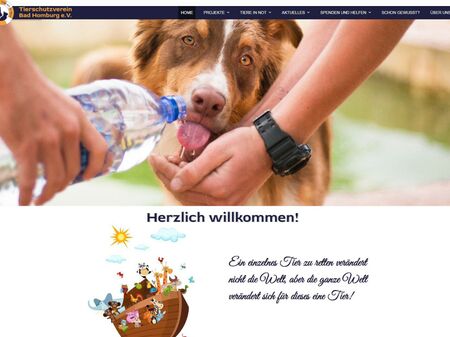 Website des TSV Bad Homburg e.V.