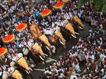 Vogelperspektive auf das Elefantenfest in Indien, mit geschmückten und in der Menschenmenge laufenden Elefanten