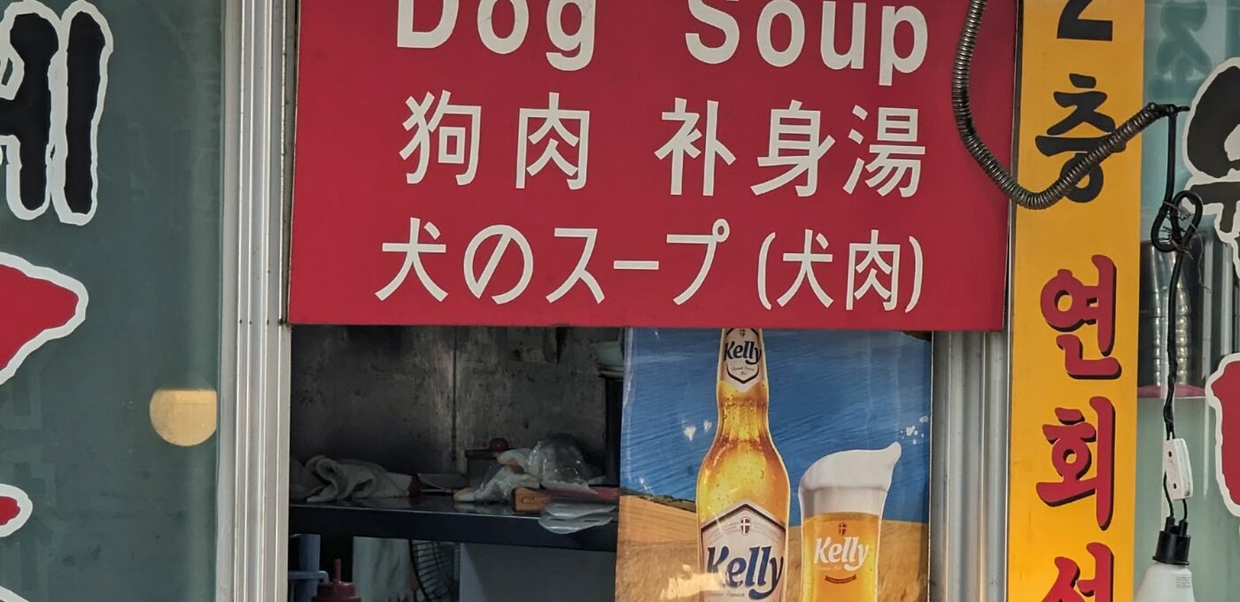 Rot-orangenes Plakat von einem Imbiss, der Hundesuppe anbietet