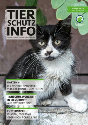 Tierschutz Info Magazin Düren