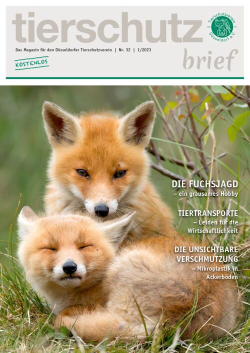 Tierschutzbrief Magazin Düsseldorf
