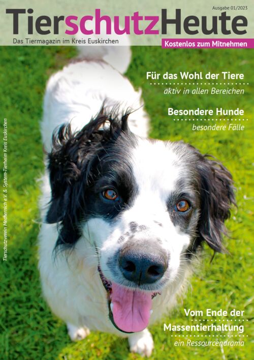 Tierschutz heute Magazin Mechernich